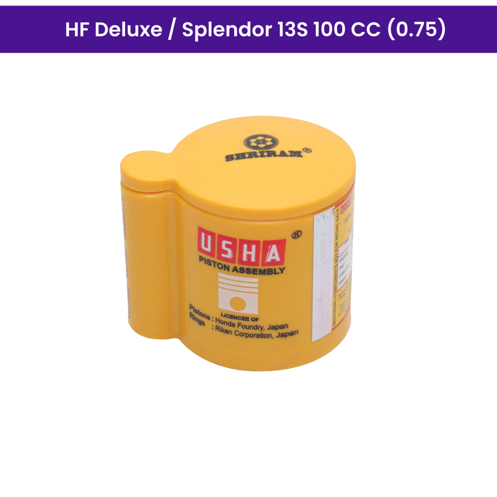 Usha Piston Kit (0.75) for Activa 125