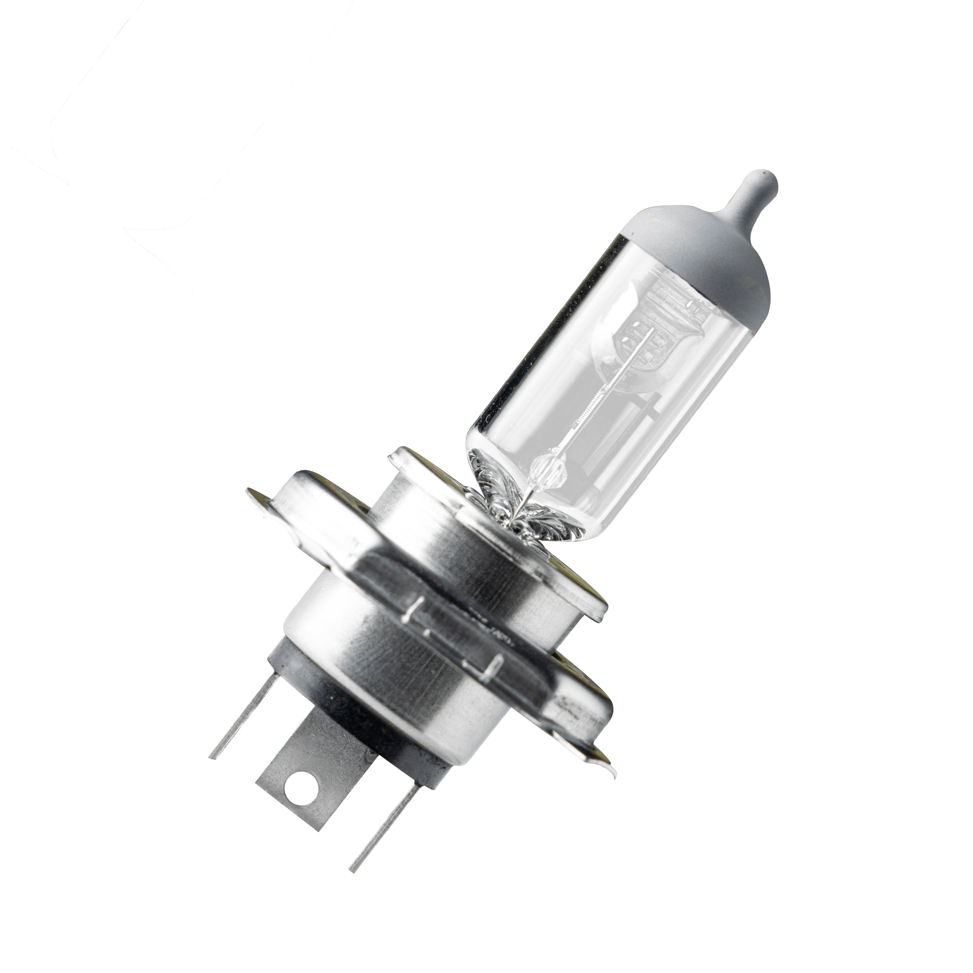 Phoenix Head Light Bulb (12V/35W - P43T)